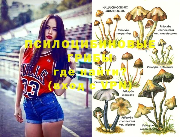 амф Магадан