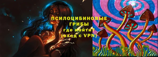 стаф Майский