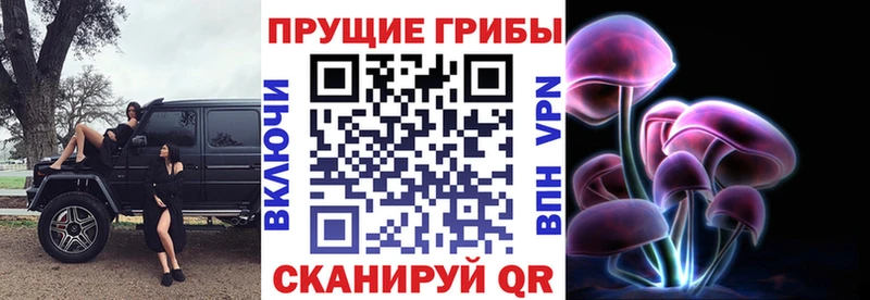 сколько стоит  Плавск  Галлюциногенные грибы ЛСД 