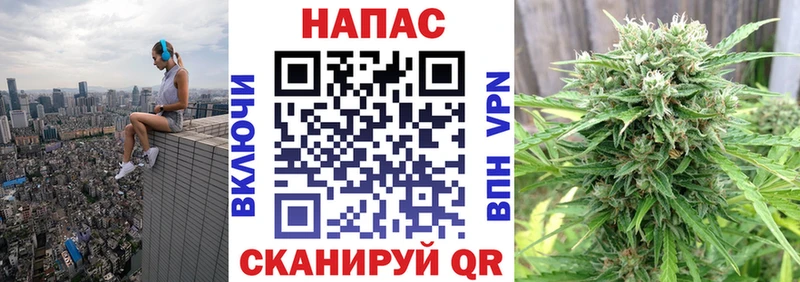 Конопля сатива  что такое наркотик  Плавск 